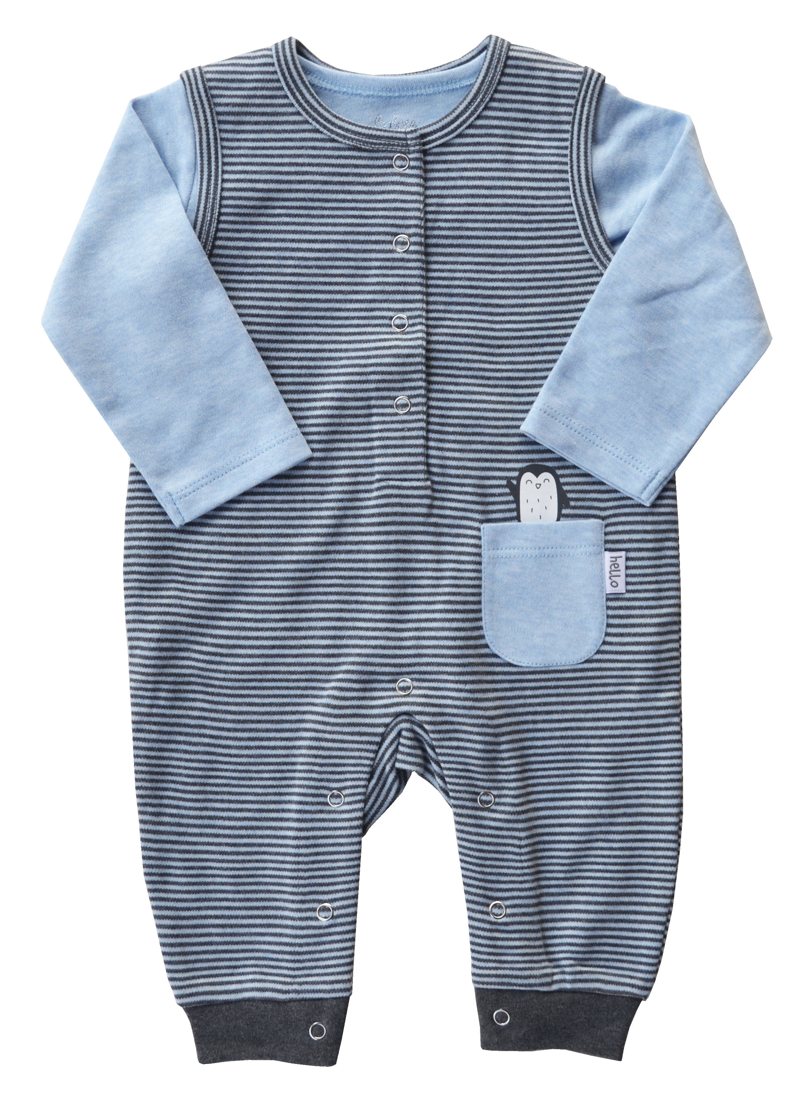 Penguin Print Blue Romper Set