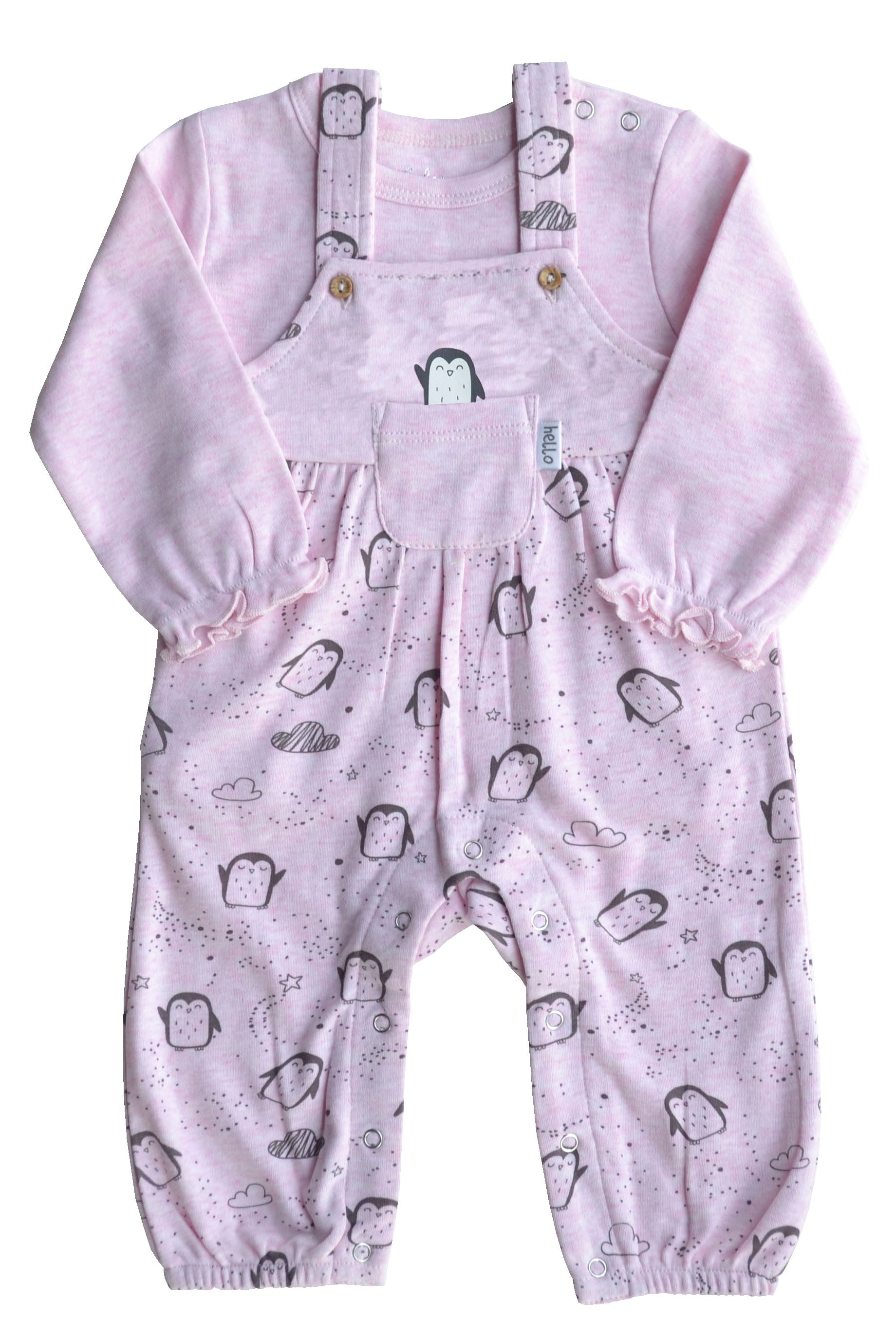 Penguin Print Pink Romper Set