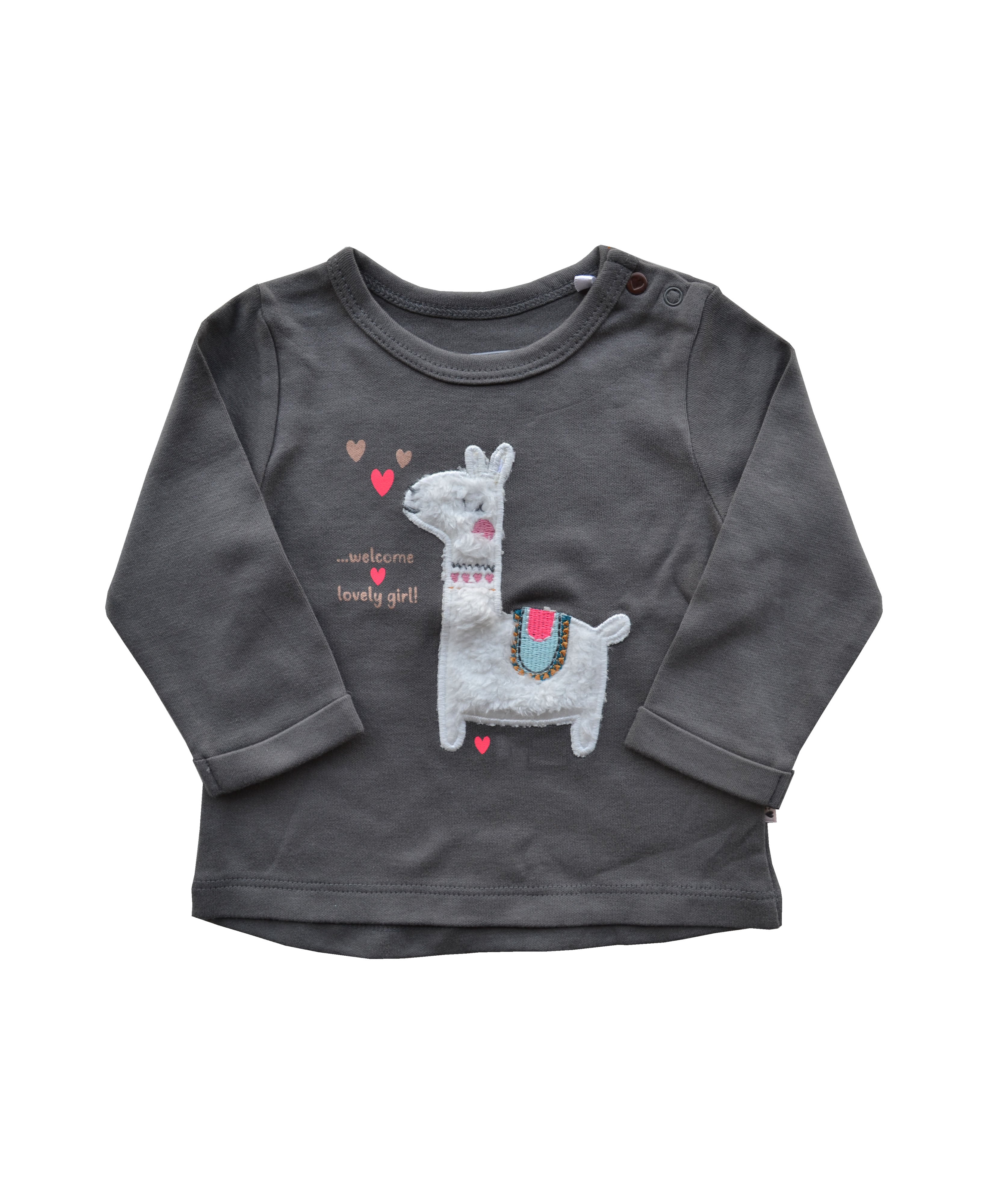 Grey Full sleeve Llama Top