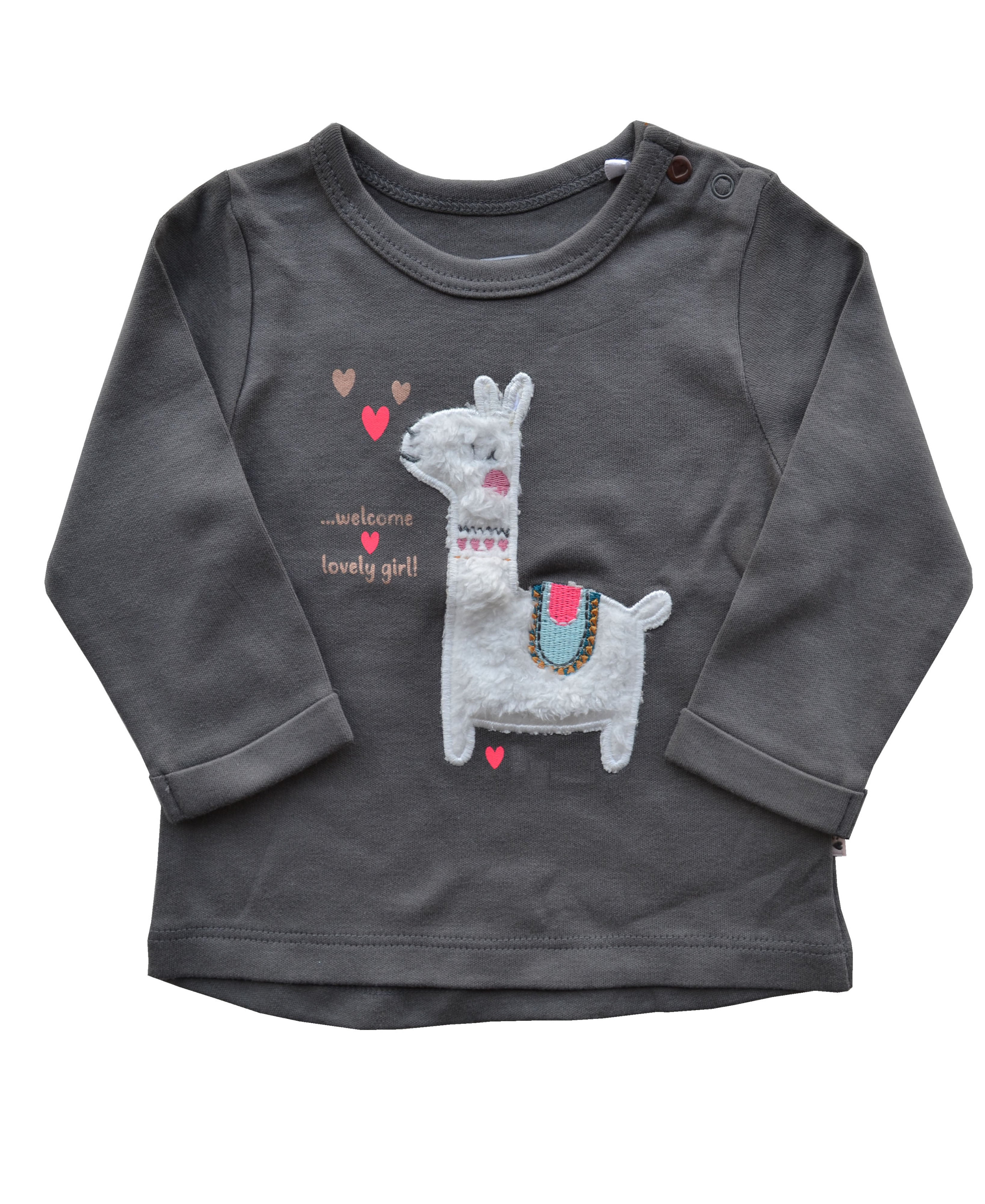 Grey Full sleeve Llama Top